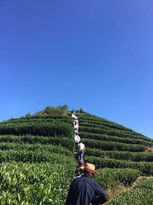 政和县茶产业可持续发展调研小组走进云根茶业